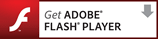 Adobe Flash Player 10